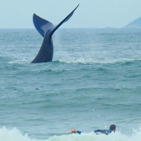 Tranquilidade Na Praia Da Gamboa Garopaba Kültér fotó